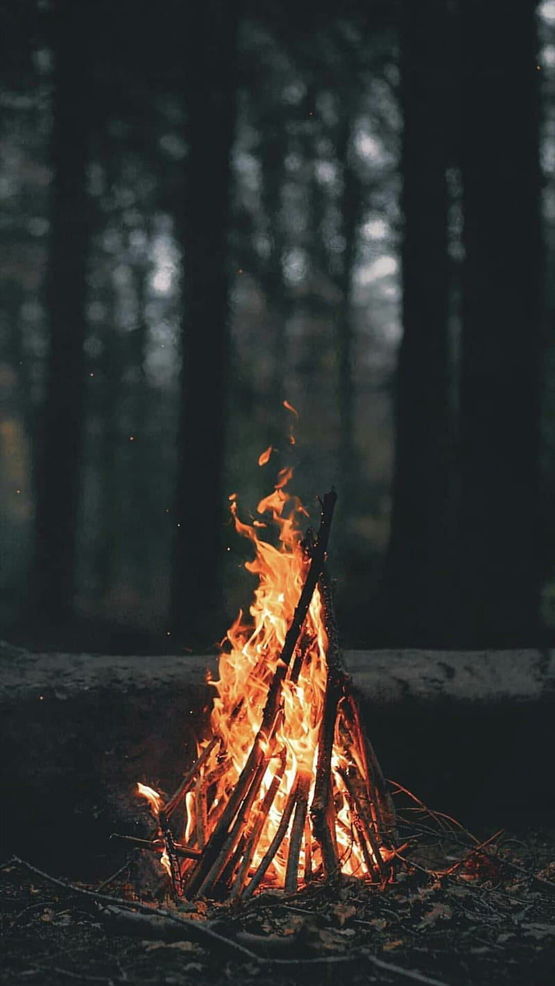 bonfire, lightning, theme, forest, dark, bonfine, fire, light, wood, HD phone wallpaper