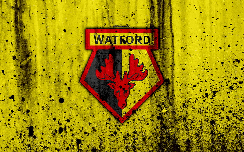 FC Watford Premier League, logo, England, soccer, football club, grunge, Watford, art, stone texture, Watford FC, HD wallpaper