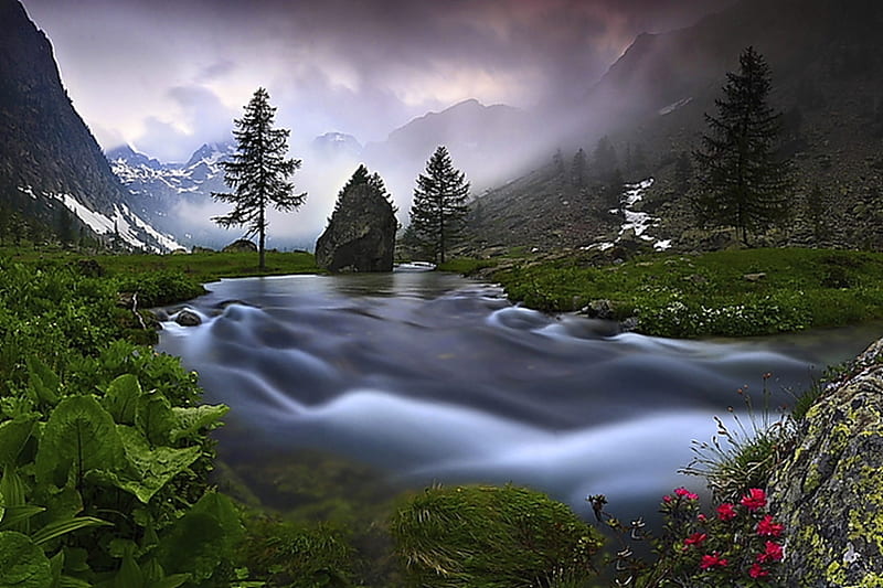 Big mountain river, grass, bonito, clouds, fog, mountain, green, stone, color, waterstream, flowers, colors, creek, alps, sky, trees, mist, water, purple, nature, ricer, HD wallpaper