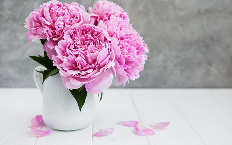 Peonies, peony, bouquet, flower, vase, bujor, white, pink, card, HD wallpaper