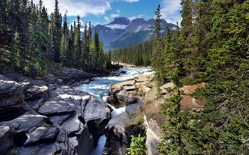 mountain river, rocks, forest, summer, mountain landscape, environment, ecology, HD wallpaper