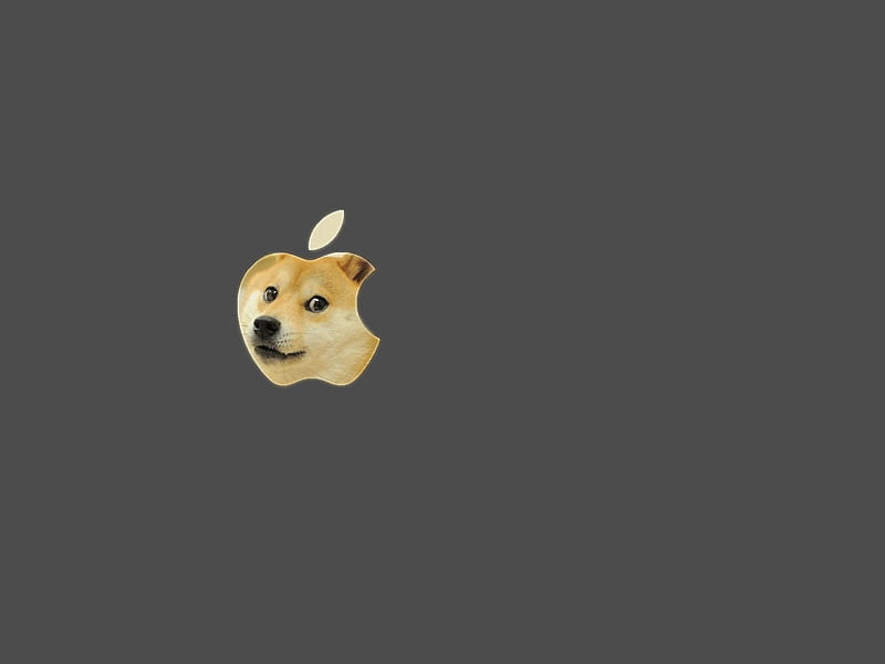 Doge, apple, HD wallpaper | Peakpx