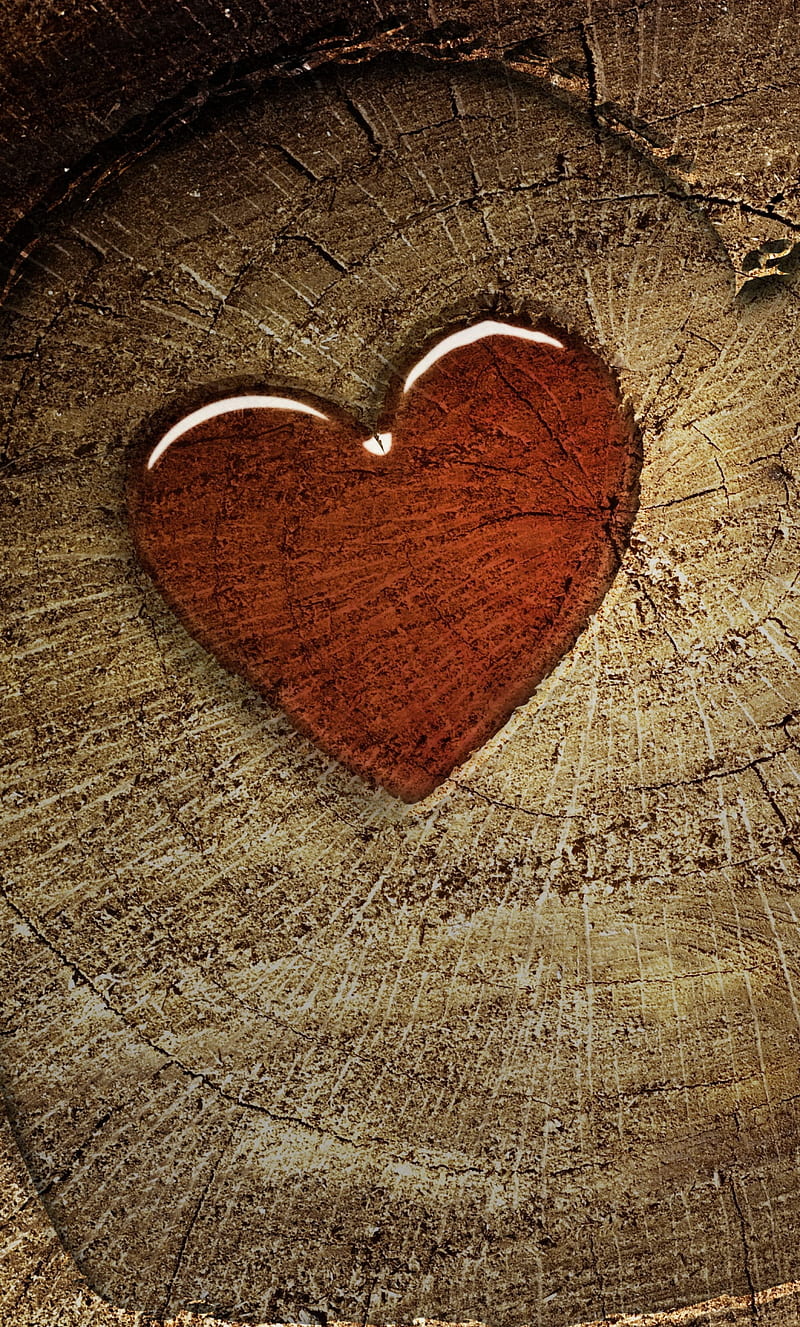 Hearts on tree, awesome, love, HD phone wallpaper