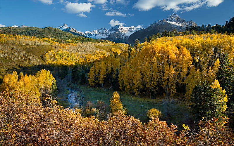 Autumn in Colorado Forest, leaves, mountains, colors, river, trees ...