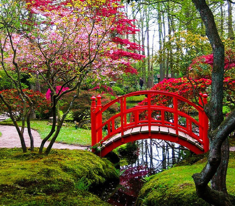 Red Bridge Japanese Garden Nature, Red Japanese Garden Bridges