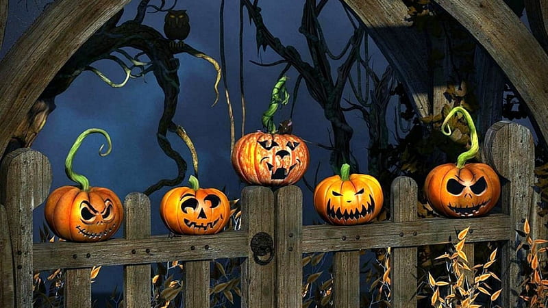 Halloween Jack O' Lanterns, fence, gate, owl, silhouettes, Halloween, trees, Jack O Lanterns, pumpkins, HD wallpaper