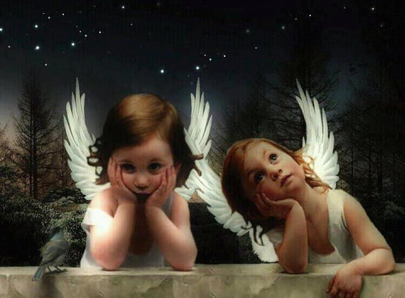 Little Angels, stars, Two angels, angel, angels, sweet, cute, tree, bird, feather, heaven, nature, child, white, night, HD wallpaper