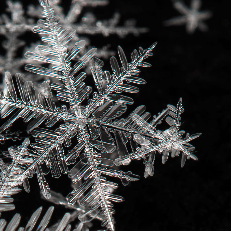 Snowflake, dark, flake, snow, HD phone wallpaper