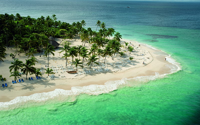 Las Terrenas, rocks, Dominican Republic, ocean, trees, palm trees, sea, beach, sand, water, Island, HD wallpaper