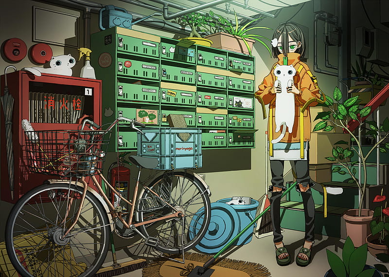 Anime, Girl, Bike, Cat, HD wallpaper | Peakpx