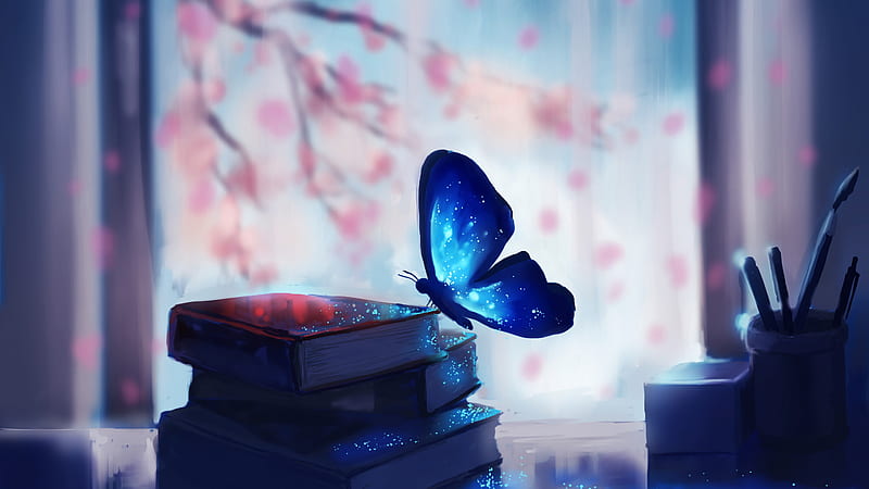 bookcase, butterfly, HD wallpaper