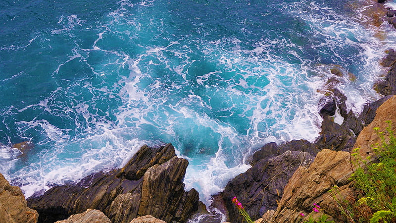 Top Angle View Of Coast Stones Rocks Nature, HD wallpaper