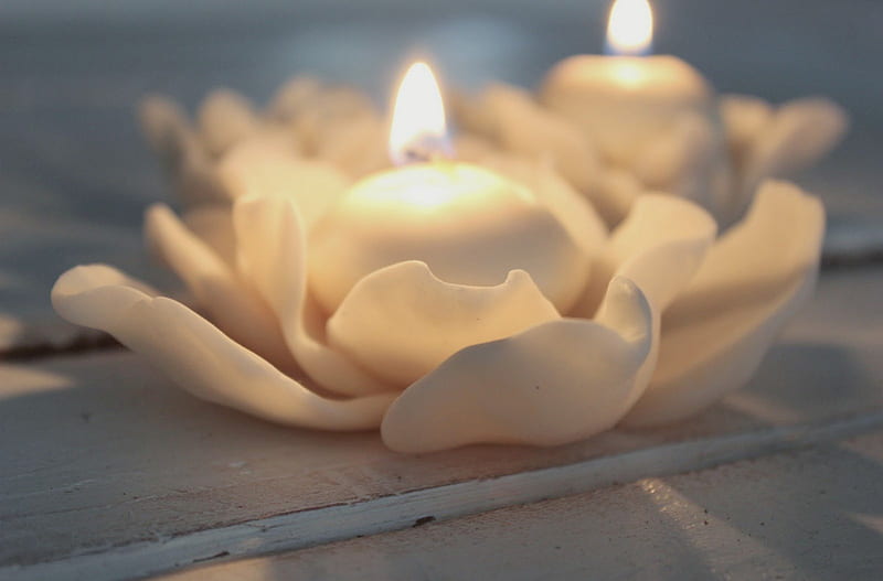 Eternal Light, luiza, family, eternal, wonderful, divine, holder, loved one, grandmother, pain, rest in peace, love, siempre, flowers, light, porcelain, candle, burning, pure, white, god, HD wallpaper