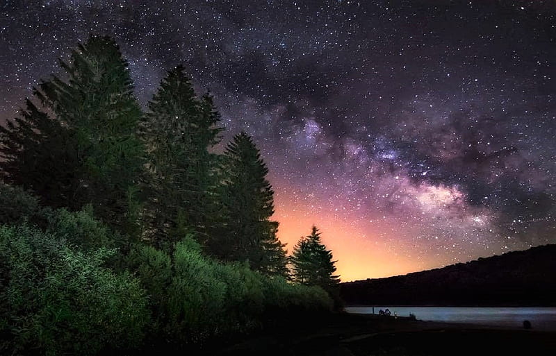 Starry Night in West Virginia, Stars, Trees, Night, West Virginia, HD ...