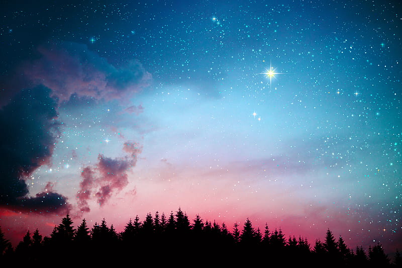 Galaxy Stars Lights Forest Night , galaxy, stars, sky, nature, HD wallpaper