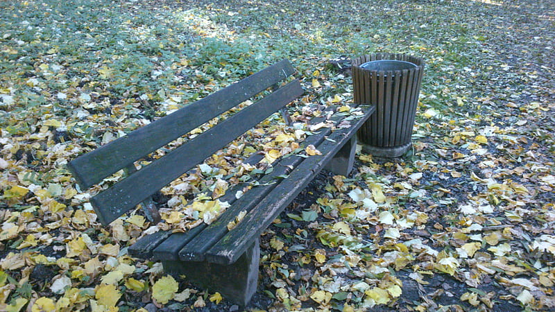 Autumn Park III, Snapshot, Fall, Woods, Foto, Grass, Leafs, Outside, Nature, graphy, Park, Bench, Wooden Dustbin, Park Bench, Leaves, Forrest, graph, Colors, Autumn, Leaf, HD wallpaper