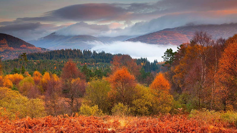 Loch Lomond and the Trossachs National Park, Mountains, Trees, Scotland, Autumn, HD wallpaper
