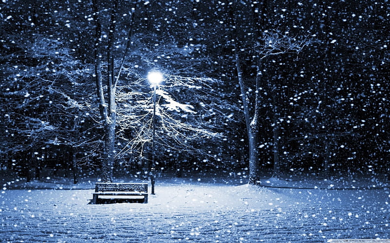 snowing- winter scenery, HD wallpaper