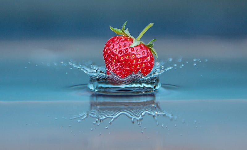 Fruits, Strawberry, Berry, Splash, Water, HD wallpaper | Peakpx
