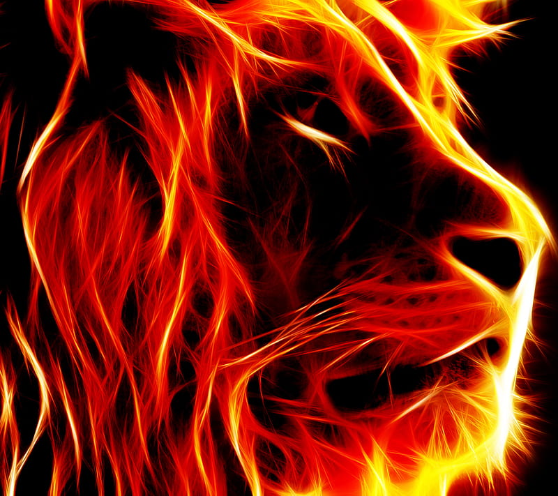 fire lion, abstract, animals, HD wallpaper