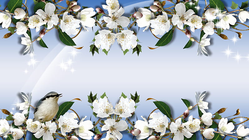 Apples Blossoms, stars, shine, firefox persona, spring, apple blossoms, fruit, gradient, bird, flowers, blue, HD wallpaper