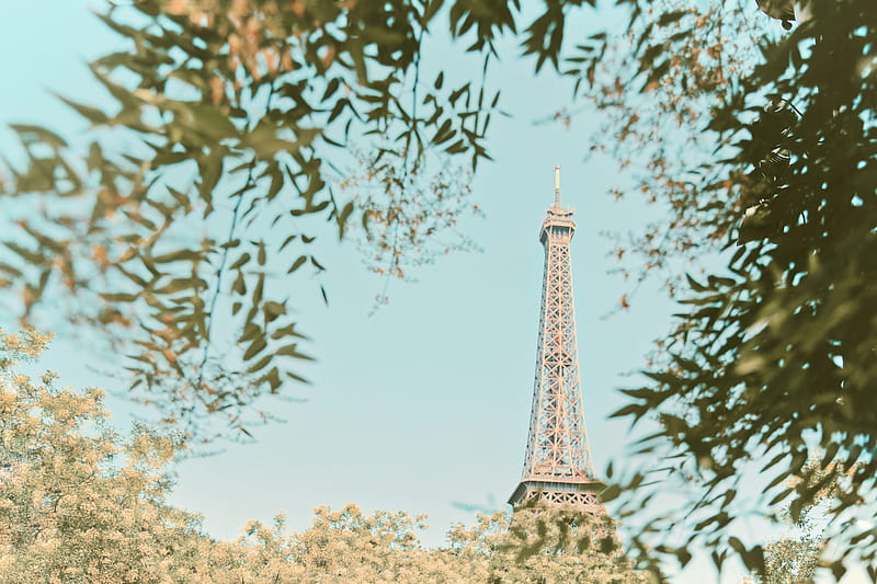eiffel tower, tower, branches, trees, building, paris, HD wallpaper