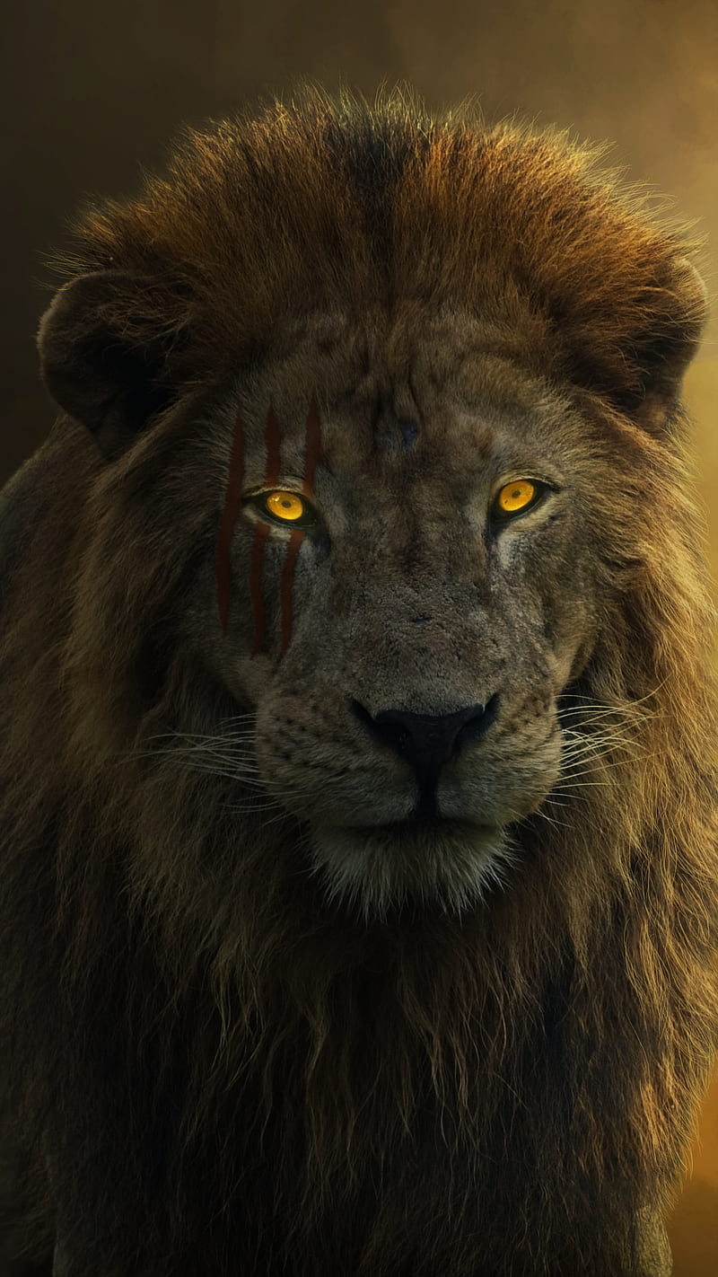 King of the wild, animal, face paint, fierce, glow eye, lion, lion scar, lion , stare, HD phone wallpaper