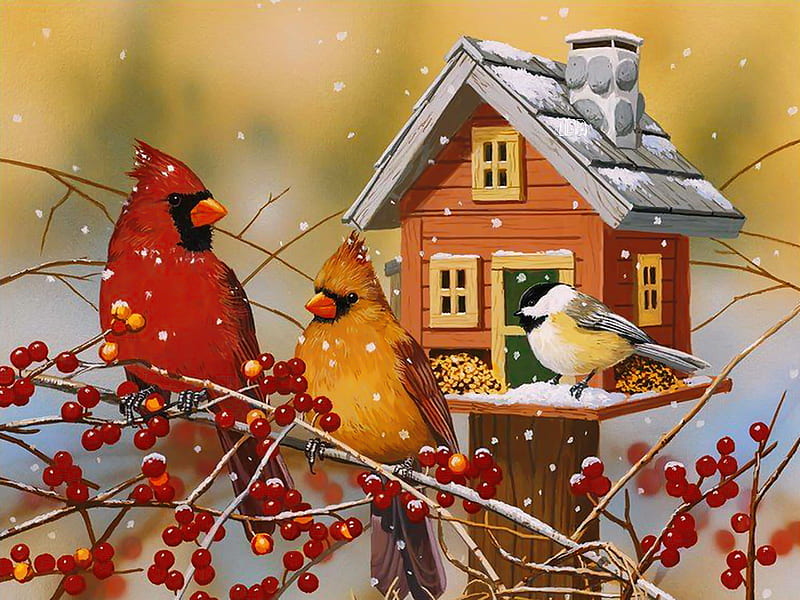 Winter birds buffet, pretty, art, birds, bonito, winter, cardinals, snow, gathering, buffet, birdhouse, friends, HD wallpaper