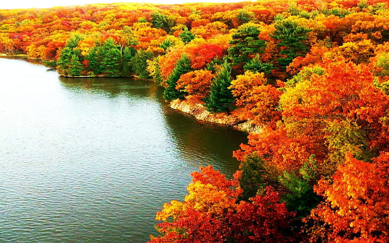 Colorful Autumn, leaves, water, colors, trees, lake, new hampshire, HD wallpaper