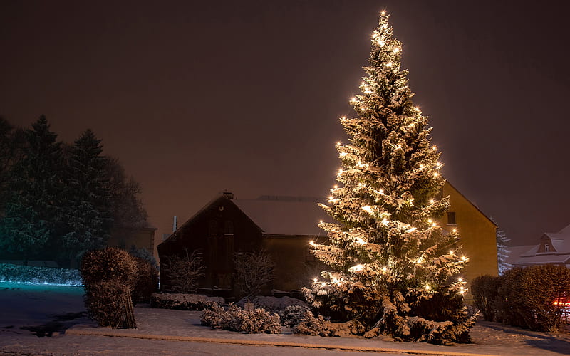 Christmas tree, street, winter, snow, winter evening, Christmas, light bulbs, garlands, New Year, HD wallpaper