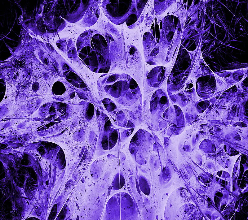 Neurons, complex, HD wallpaper