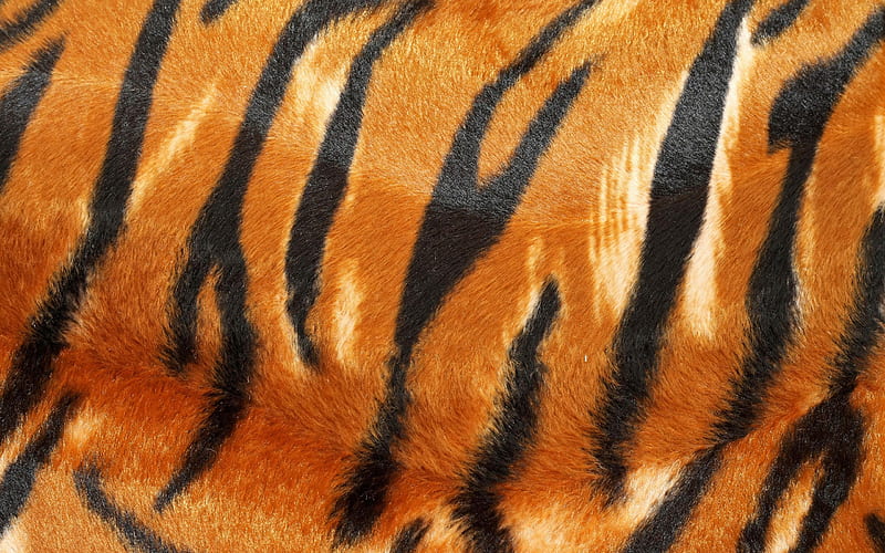 tiger skin texture, wool texture, tiger, skin texture, orange black tiger background, HD wallpaper