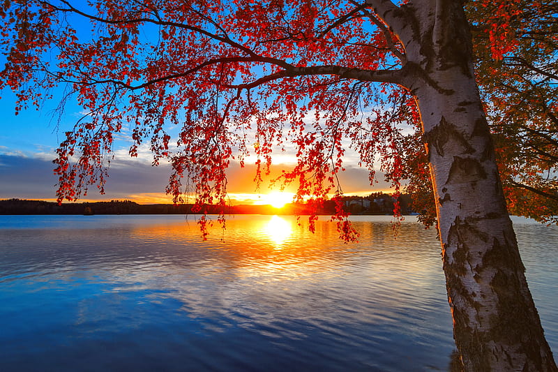 Fall sunset, fall, autumn, bonito, sunset, lake, foliage, tree, leaves, river, reflection, branches, HD wallpaper