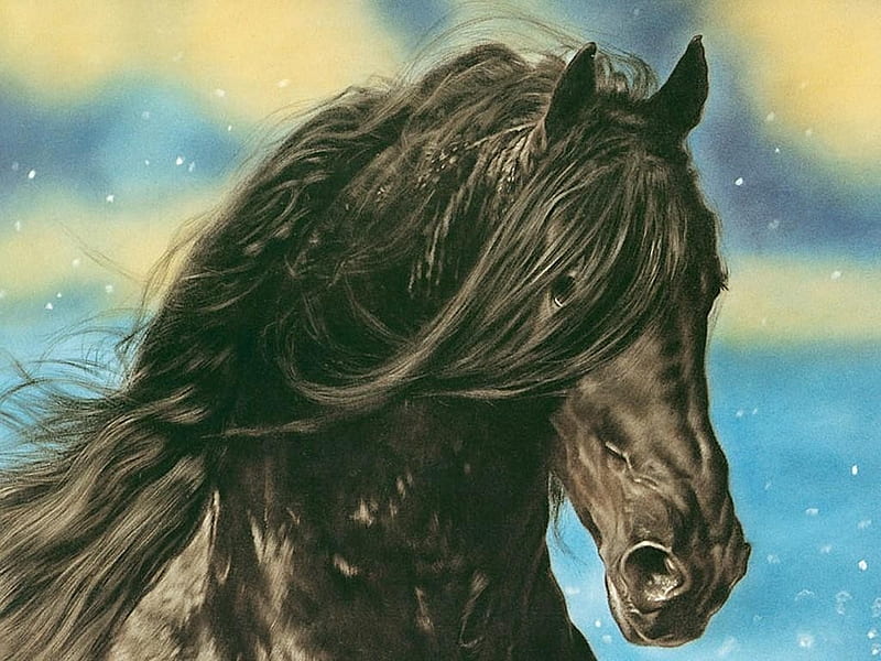 black horse head, black, head, horses, animals, painting, HD wallpaper