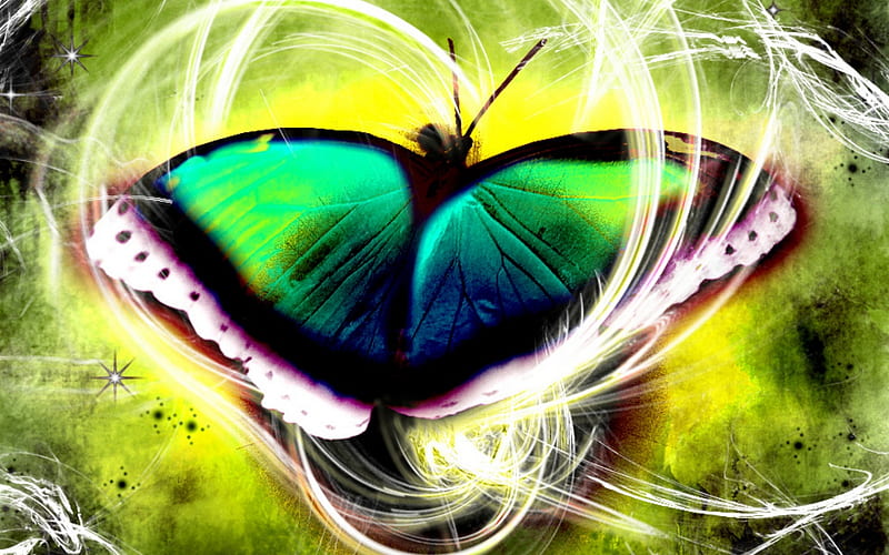 Download 3d Butterfly Beatyful Fly 3d Wings Butterfly Nature Hd Wallpaper Peakpx