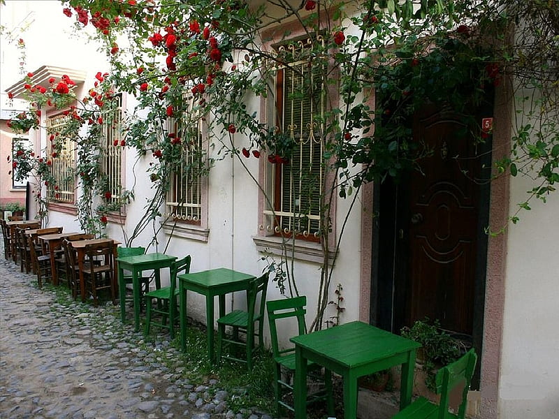 Ayvalik Street Turkey, cafe, turkey, flowers, ayvalik, street, HD wallpaper