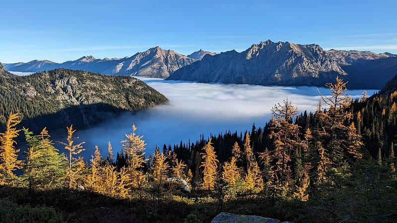 Maple Pass, Washington, mountains, fog, landscape, trees, autumn, usa, HD wallpaper