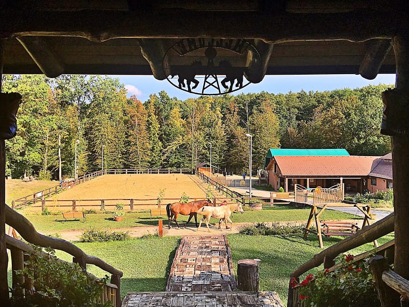 View of the Ranch, Bunk House, Corral, Wood Swing, Flowers, Stiarcase, Horses, House, Forest, Ranch, Trees, HD wallpaper