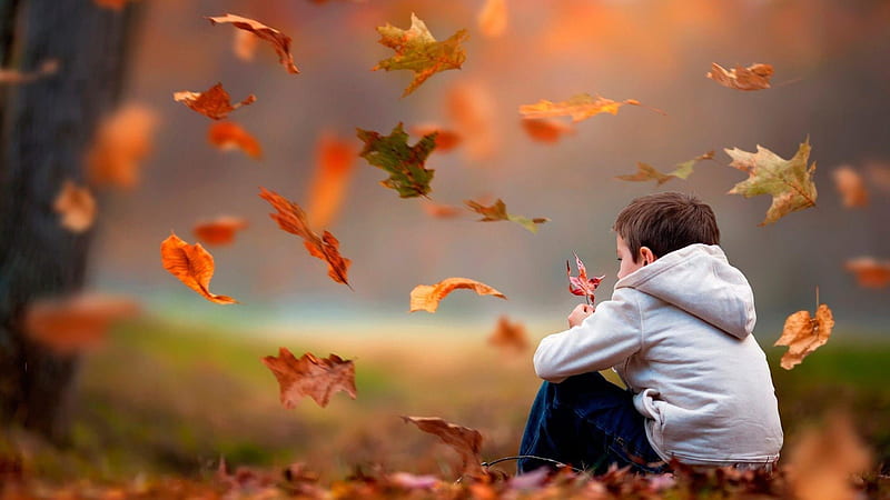 Boy With Leaf Is Sitting On Dry Leaves Wearing White Blue Dress In Fallen Red Leaves Background Cute, HD wallpaper
