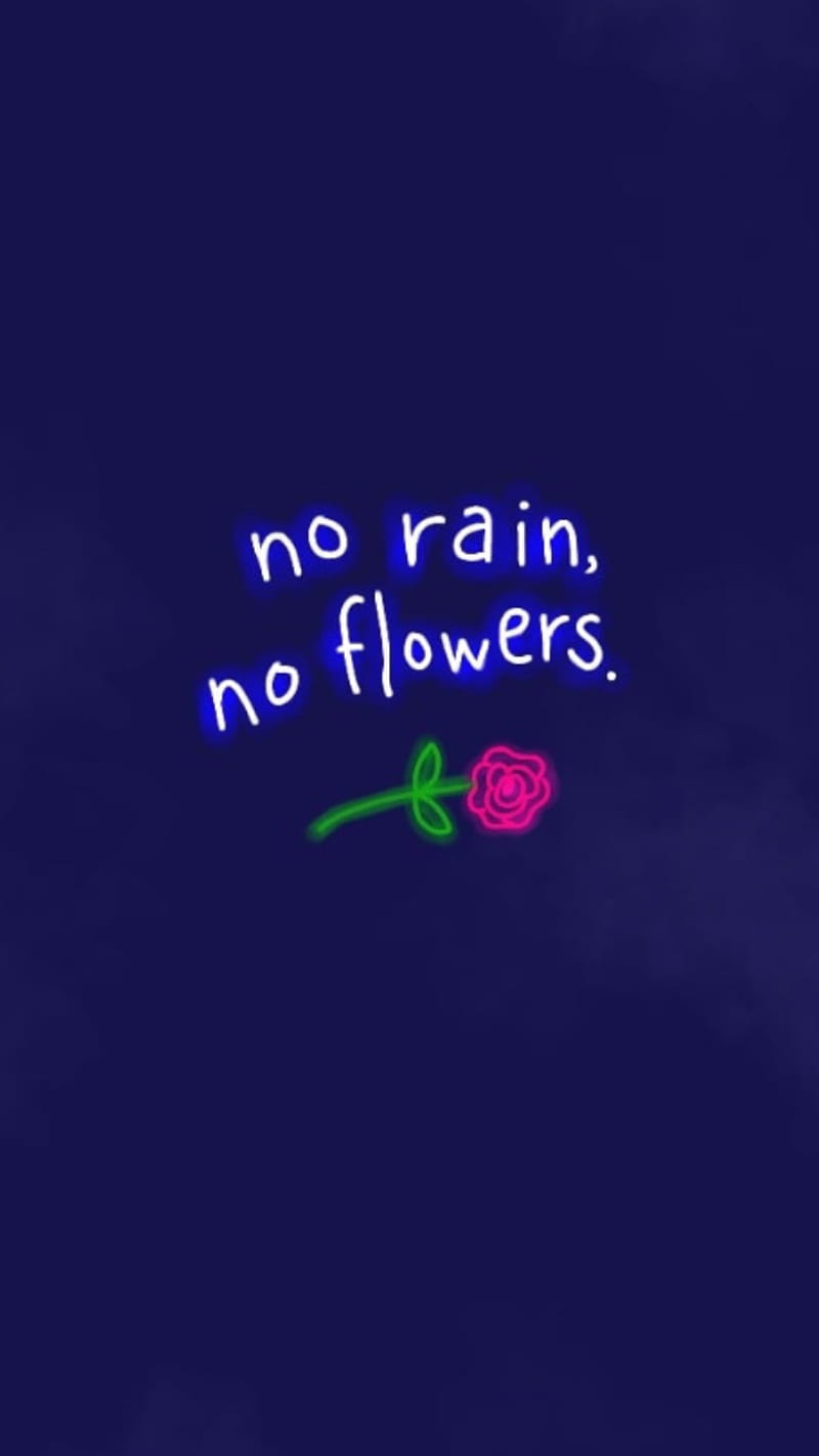 No rain no flowers, blue, flower, HD phone wallpaper
