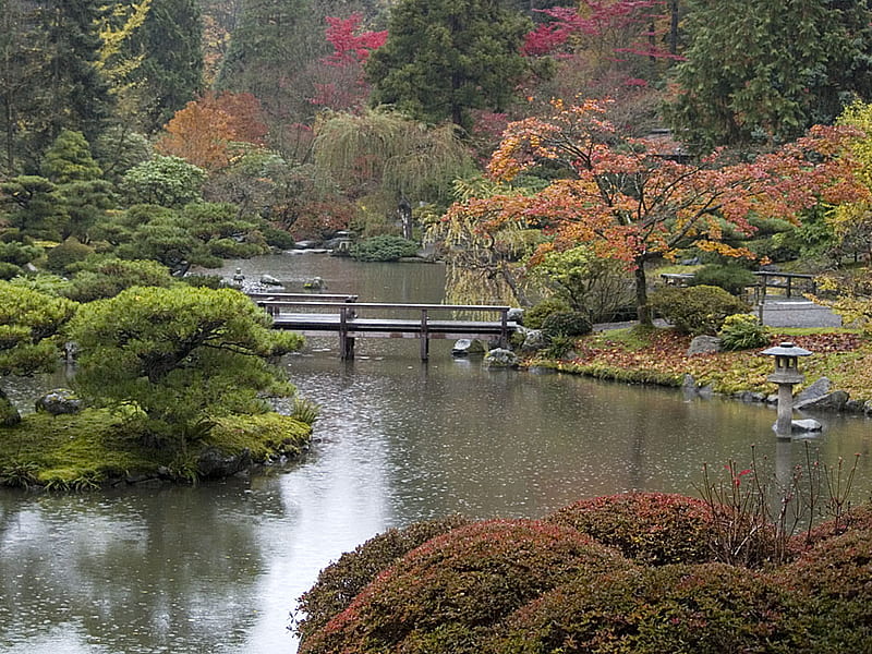 Zen Autumn Garden, autumn, japanese, zen, garden, nature, HD wallpaper
