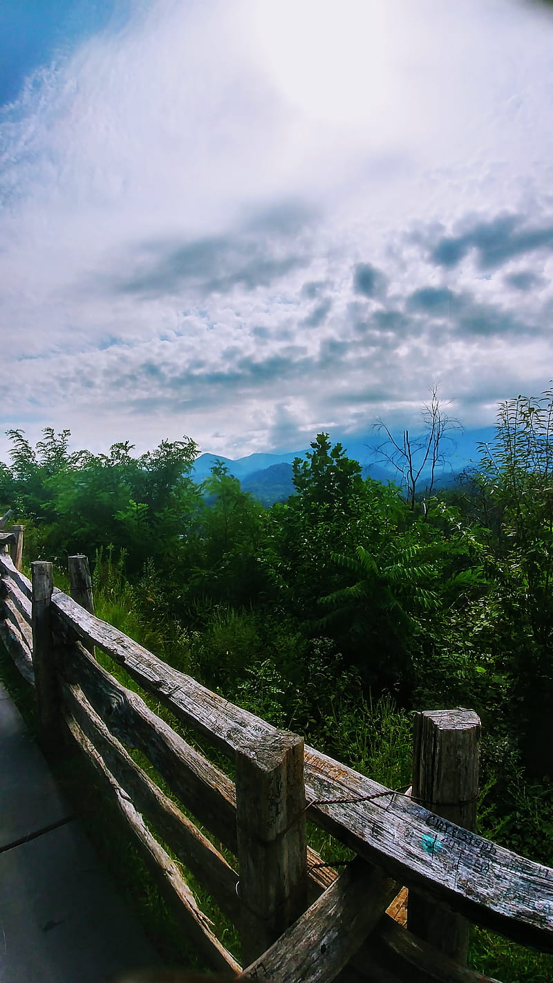 Gatlinburg overlook, appalachian mountains, clouds, gatlinburg, mountain, tablet size, tennessee, trees, HD phone wallpaper