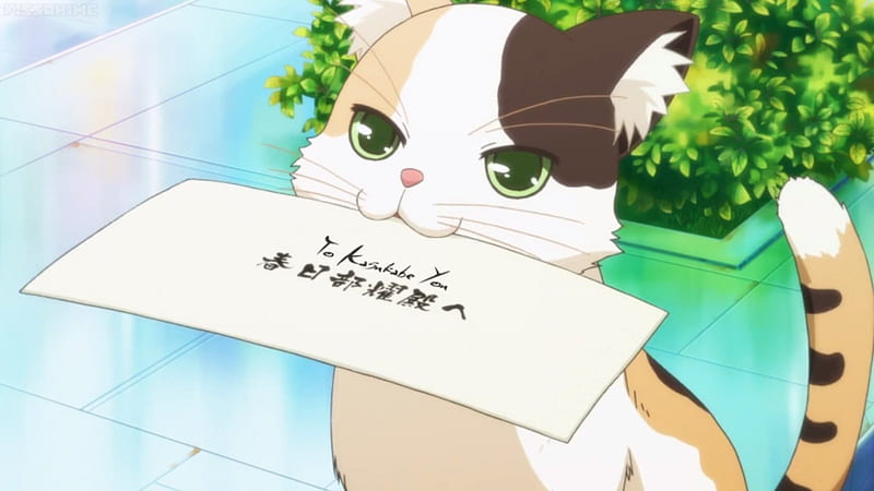 Cat Delivery, pretty, bonito, adorable, deliver, sweet, mondaiji, nice,  anime, HD wallpaper | Peakpx