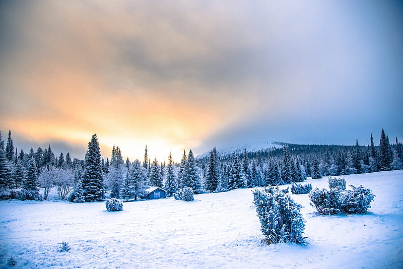 Lapland Winter (Finland), sunset, trees, snow, landscape, cabin, HD wallpaper