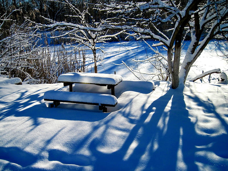 Winter bench, rest, forest, quiet, lovely, bench, covered, sunny, bonito, park, trees, winter, snow, shadows, day, frost, HD wallpaper