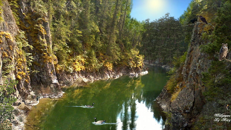 Emerald Canyon 1600x900, ducks, bowron, canyons, owls, rivers, HD wallpaper