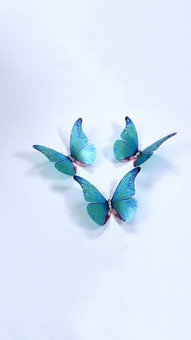 Butterflies, blue, wings, HD phone wallpaper