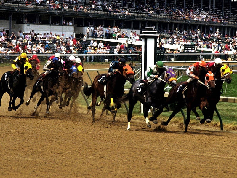 horse racing, track, racing, horse, jockey, HD wallpaper