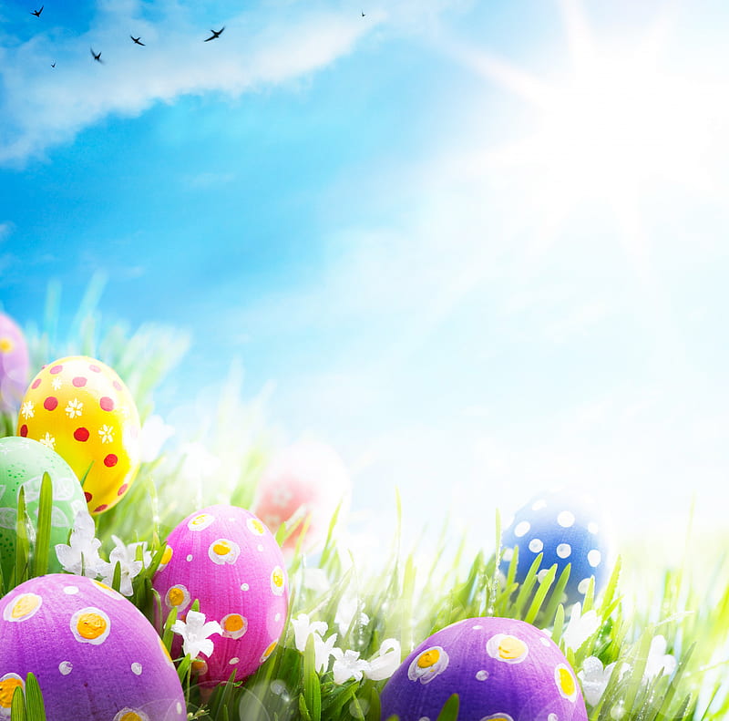 Easter Eggs, colorful, holidays, grass, fresh, sky, Easter, green, eggs ...