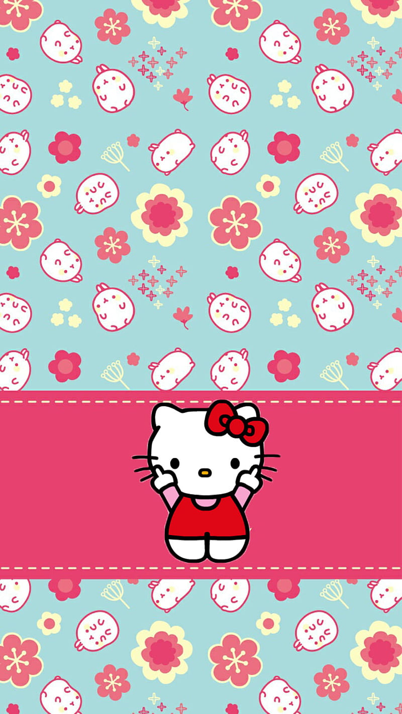 Hello Kitty, cartoon, cute, kawaii, molang, HD phone wallpaper